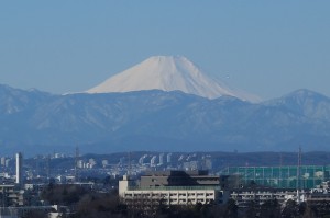 DSC02828fuji02Feb2015e